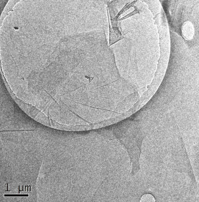 Graphene Oxide | ACS Material