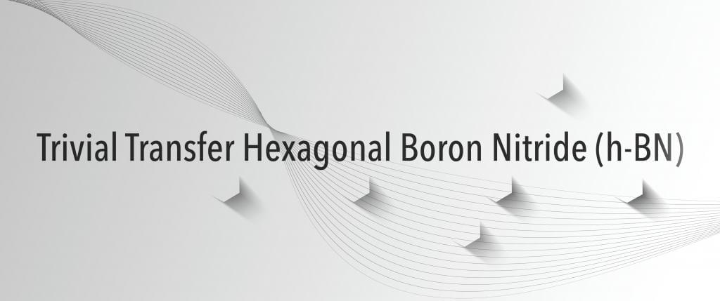 Trivial Transfer HBN