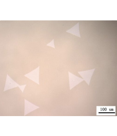 CVD Method Monolayer WSe2