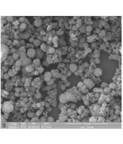 Covalent Organic Framework-TpPa-1 (COF-TpPa-1)