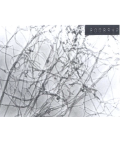 Purified Carboxylic Multi-Walled Carbon Nanotubes (OD: 