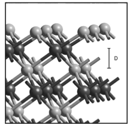 Fig1b