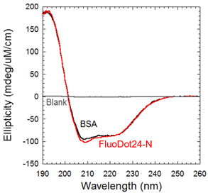 Fig.2C