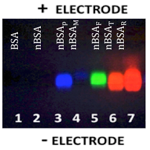 Fig.1A