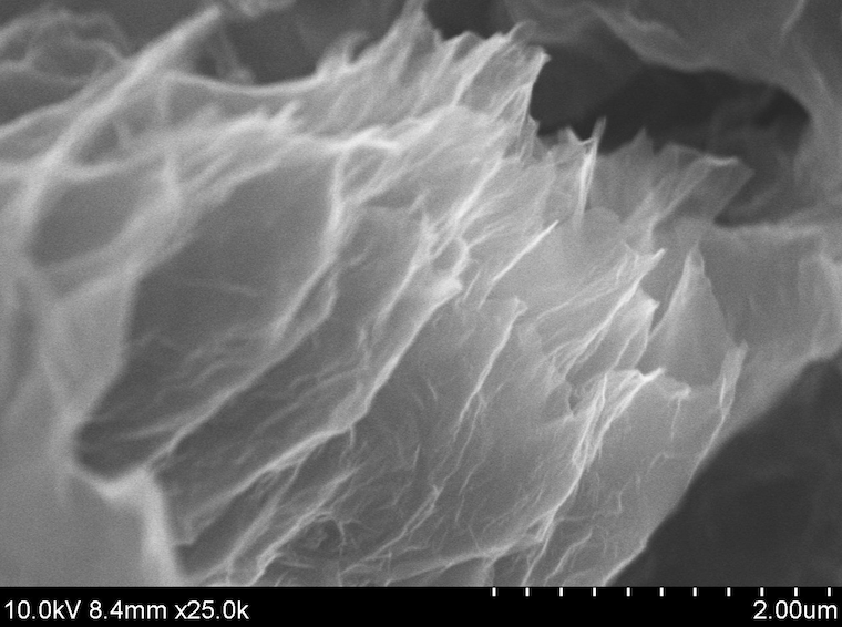 SEM image of acs material GA