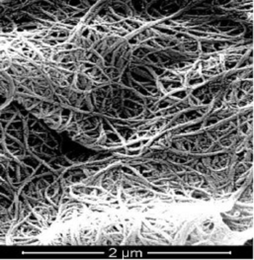 SEM Image of ACS Material Highly Purified SWCNTs (Length = 5-30 μm)