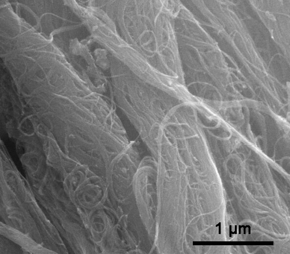 SEM Image of ACS Material Highly Purified SWCNTs (Type A: Length = 1-3 μm)