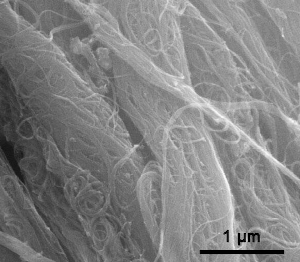 TEM Image of ACS Material Industrial SWNTs-OH (Length = 1-3 μm)