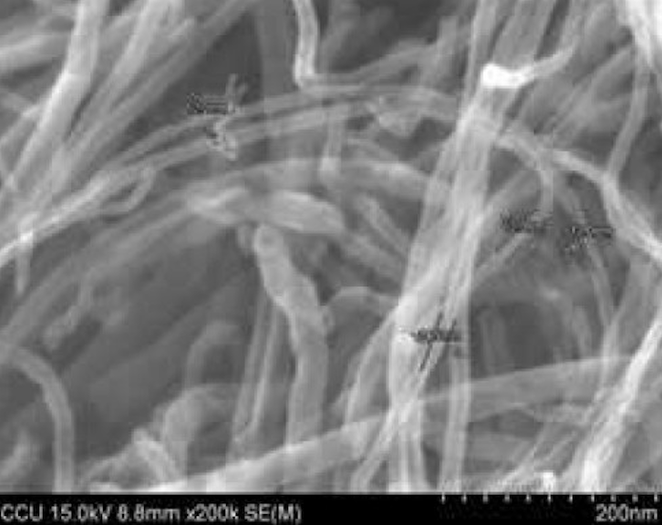 SEM Purified MWNTs (OD=10-20nm)