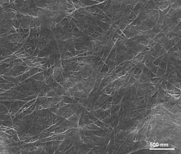 SEM Image of ACS Material Single-walled Carbon Nanotube Paper