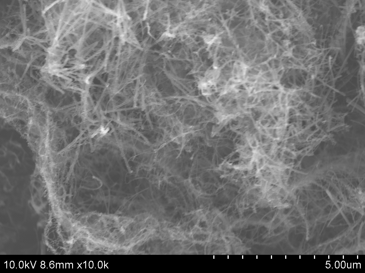 Carbon naofibers_SEM-1