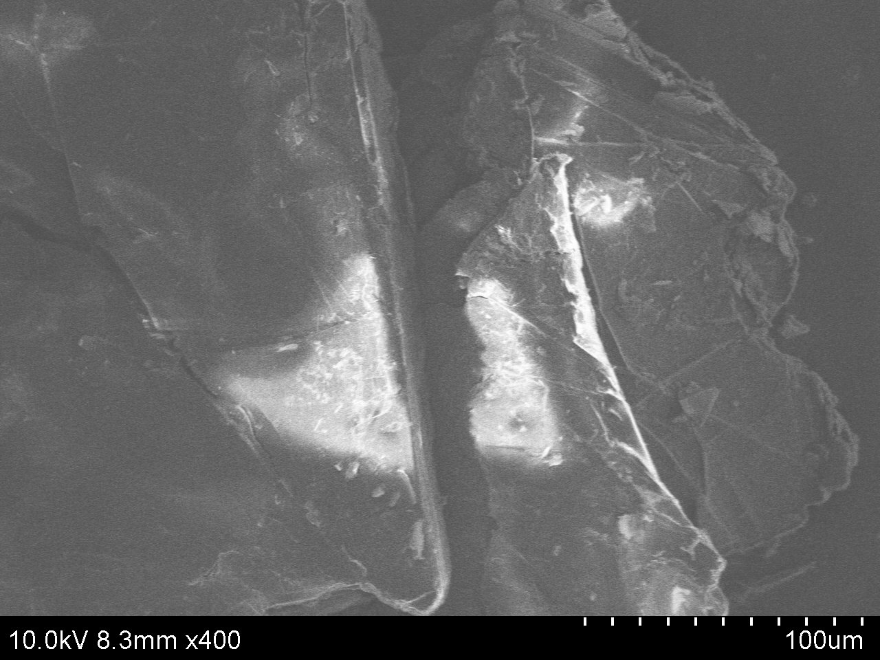 SEM-ACS Material Graphite Fluoride (Flake)