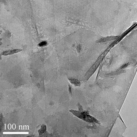 Typical SEM of ACS Material ACS Material Ti3C2Tx MXhene (few-layered nanoflakes)