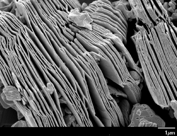 Typical SEM of ACS Material ACS Material Ti3C2Tx MXhene (multilayer nanoflakes)