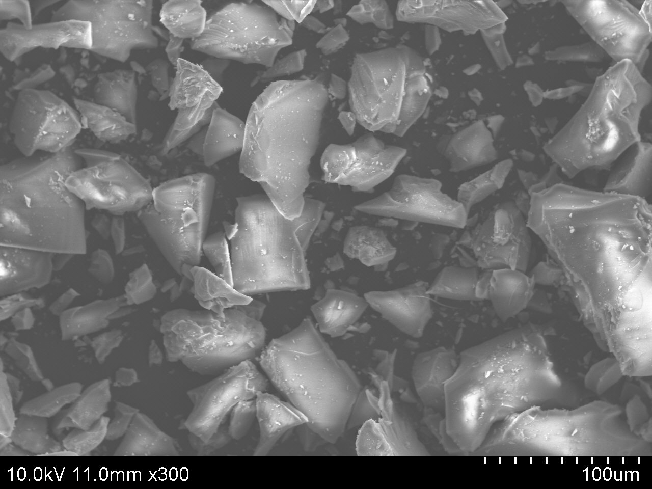 ACS Material SEM of SBA-16