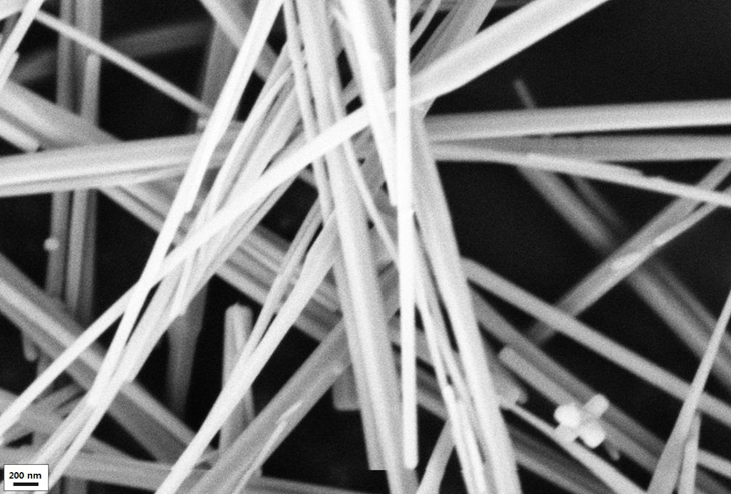 SEM Image of ZnO Nanowire