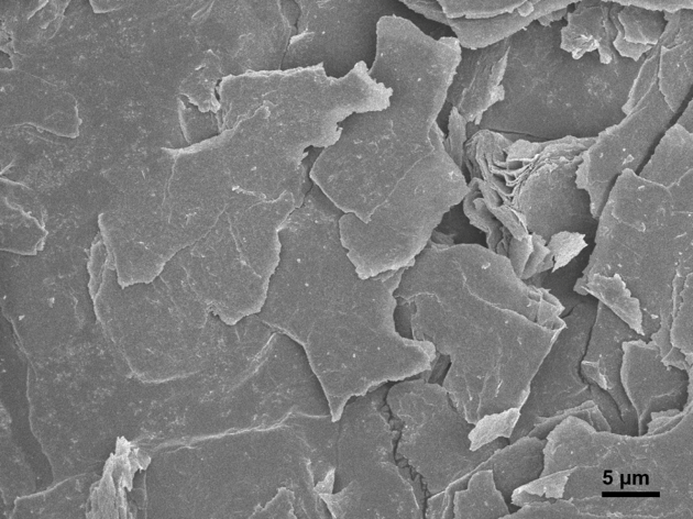 SEM-Pyrolytic Graphite