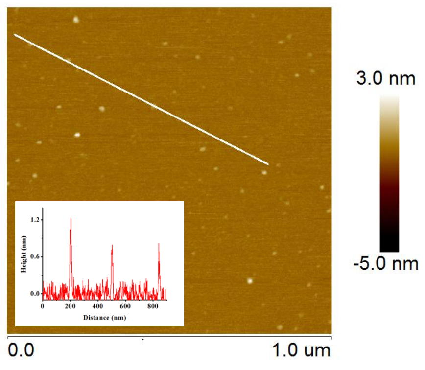 WS2 Quantum Dots-AFM