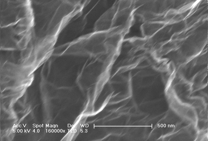 SEM Image of Single Layer Graphene